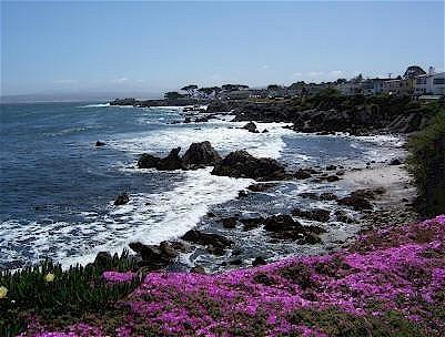 Monterey Peninsula Inn Pacific Grove Ngoại thất bức ảnh